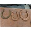 Image 2 : 12 Lucky Horseshoes