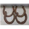 Image 2 : 12 Horseshoes