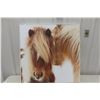Image 1 : Horse Picture 36" x 36"