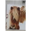Image 2 : Horse Picture 36" x 36"