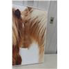 Image 3 : Horse Picture 36" x 36"
