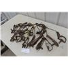 Image 1 : Seventeen Leg Traps