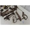 Image 2 : Seventeen Leg Traps