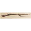 Image 1 : Found with above lot. Springfield model 1848, .69 caliber percussion musket in relic condition with 