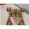 Image 6 : Vintage Original Collector Bahne Skateboard
