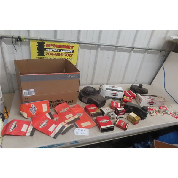 Briggs & Stratton Small Engine Parts