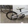 Image 5 : Tampa Rays Lucky Explorers 19'' Pedal Bike 