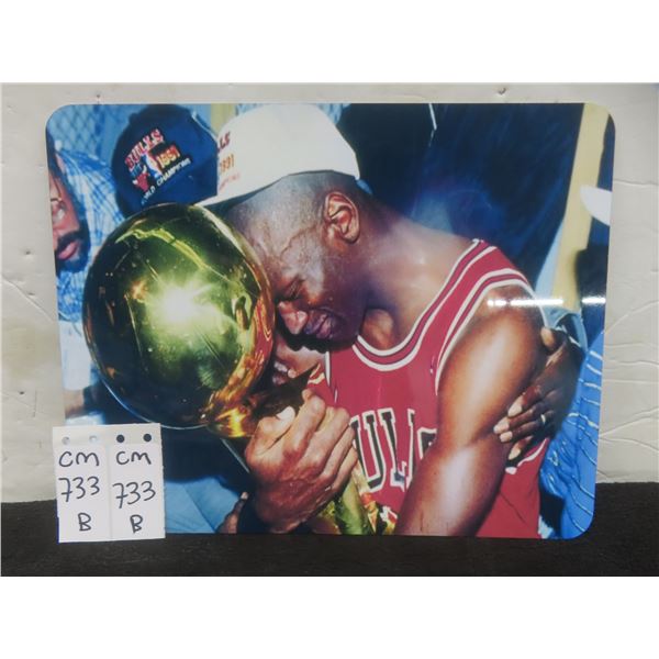 Michael Jordan Metal Art