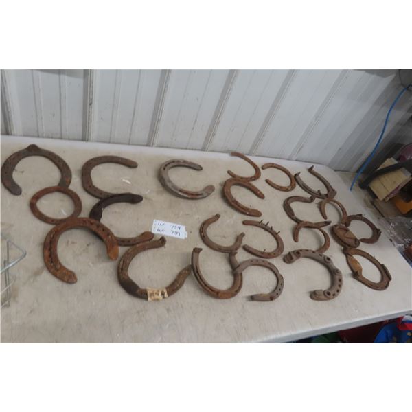 Horse Shoes 