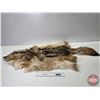 Image 1 : Coyote Hide (55"L x 28"W)