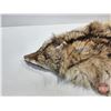 Image 2 : Coyote Hide (55"L x 28"W)