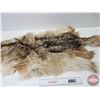 Image 3 : Coyote Hide (55"L x 28"W)