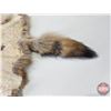 Image 8 : Coyote Hide (55"L x 28"W)