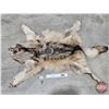 Image 1 : Wolf Hide