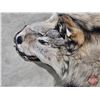 Image 2 : Wolf Hide