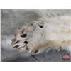 Image 3 : Wolf Hide
