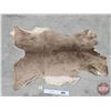 Image 2 : Tanned Whitetail Deer Hide (3-3/4 ft L)