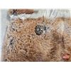 Image 2 : Muskrat Shawl (4ft W)