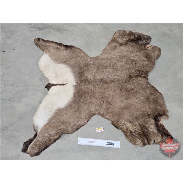 Tanned Elk Hide (2-3/4"L)