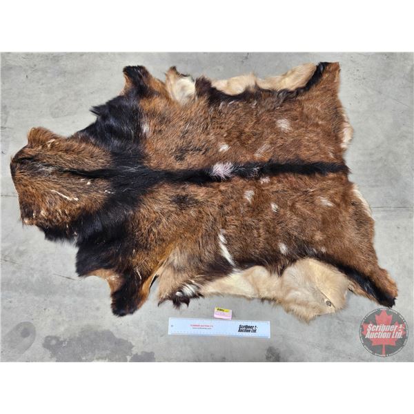 African Hide (3-1/4 ft L)