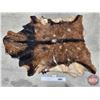 Image 1 : African Hide (3-1/4 ft L)