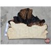 Image 2 : African Hide (3-1/4 ft L)