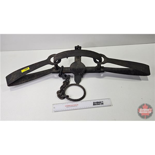 BEAR TRAP : S. Newhouse No. 5 (34-1/2"L)