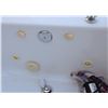 Image 3 : JET TUB WITH PUMP AND CONTROLS