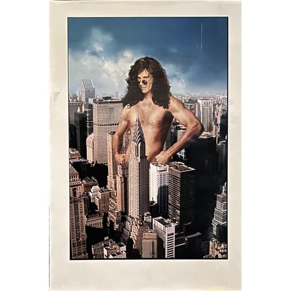 Private Parts original movie poster artwork