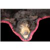 Image 2 : Double Matted Black Bear Rug- 56" Nose To Tail- 64" Across Front Legs- 50" Across Hind Legs- Spring 