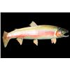 Image 1 : Steelhead Mount- 32.5"