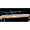 Image 3 : Ruger Model 10/22 Semi-Automatic Carbine- .22 LR- 18.5" Barrel- Sling- Bushnell Banner Scope- Very G