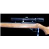Image 7 : Ruger Model 10/22 Semi-Automatic Carbine- .22 LR- 18.5" Barrel- Sling- Bushnell Banner Scope- Very G