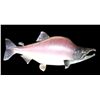 Image 1 : Humpy Salmon Mount- 25"