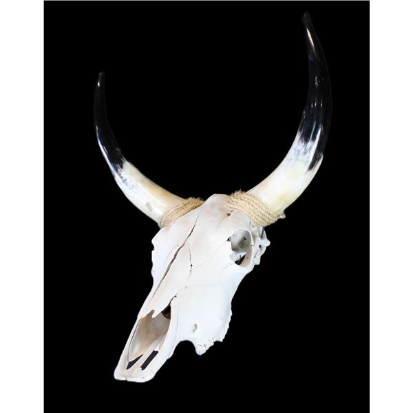 Steer Head- Rope Wrapped- 19" X 22"