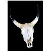 Image 2 : Steer Head- Rope Wrapped- 19" X 22"