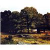 Image 1 : Alfred Sisley - Chestnut Avenue in La Celle-Saint-Cloud