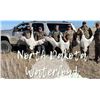 Image 1 : North Dakota Prairie Pothole Duck Hunt