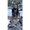 Image 1 : Self Guided Sitka Blacktail hunt in Kodiak Alaska