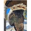 Image 2 : Wyoming Merriam's Turkey hunt