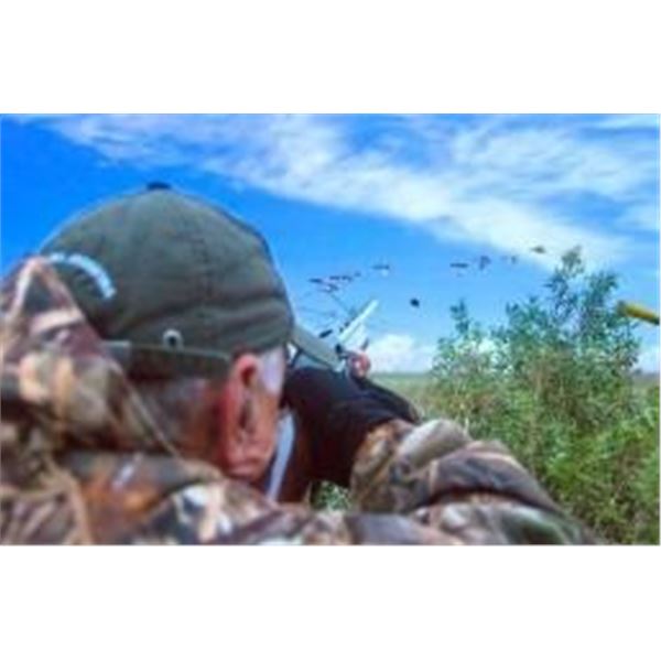 4 day 3 night Dove hunt with Kautapen
