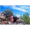 Image 1 : 4 day 3 night Dove hunt with Kautapen