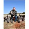 Image 2 : African Safari for 4 with White Lion safaris