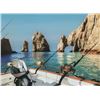 Image 1 : Los Cabos sport fishing for 2