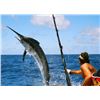 Image 3 : Los Cabos sport fishing for 2