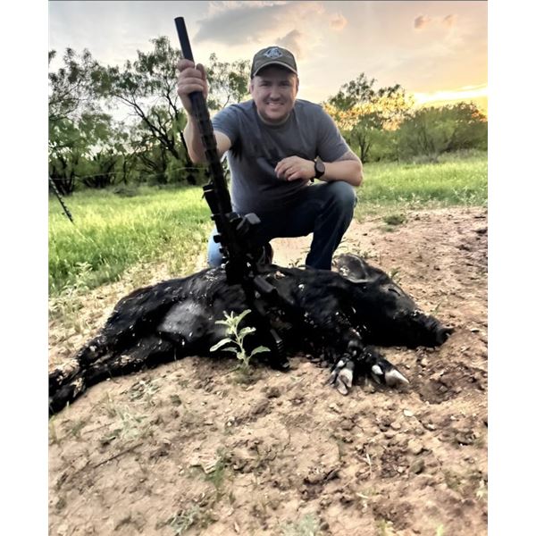 3 day 3 night Texas Hog Hunt