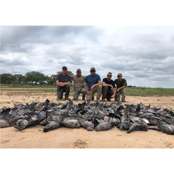 Unlimited Dove Shooting for 6 in Argentina – L&S Hunting Company