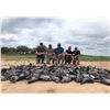 Image 1 : Unlimited Dove Shooting for 6 in Argentina – L&S Hunting Company