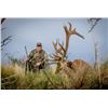 Image 1 : Argentina Red Stag for 2 hunters