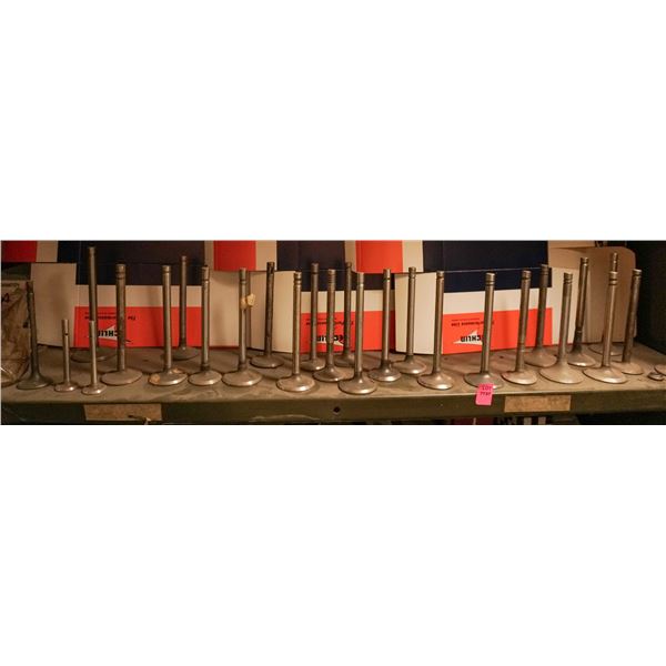 SHELF LOT - LOOSE UNBOXED ENGINE VALVES
